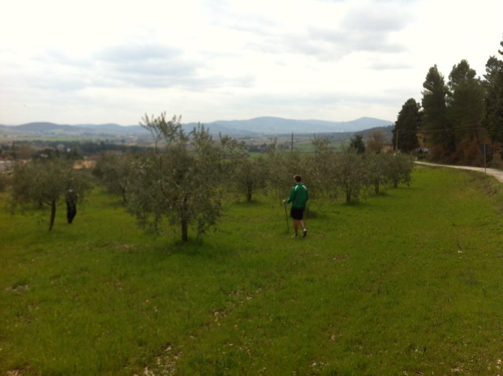 Azienda Agrituristica I Tre Casali Magione Rum bild