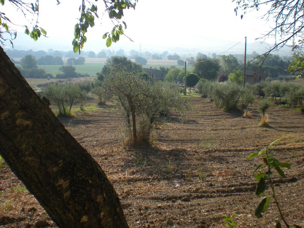 Azienda Agrituristica I Tre Casali Magione Exteriör bild
