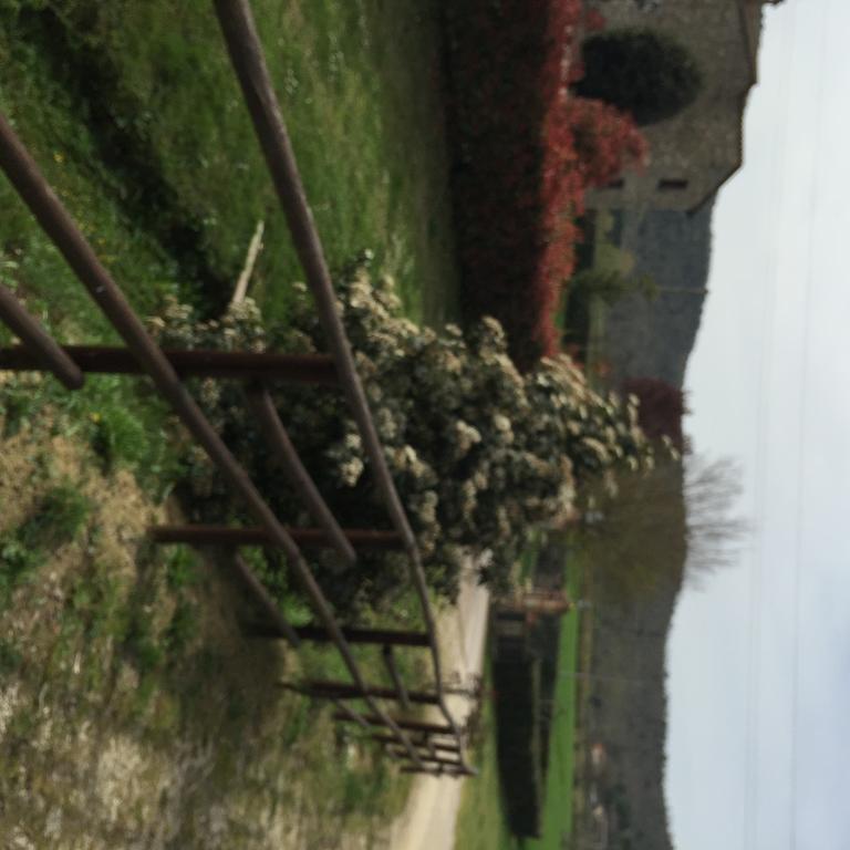 Azienda Agrituristica I Tre Casali Magione Exteriör bild