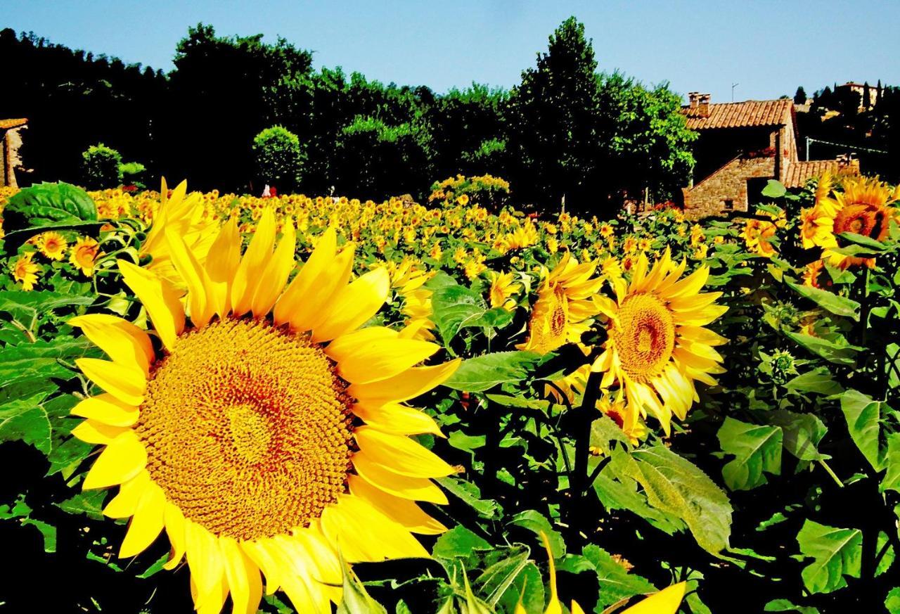 Azienda Agrituristica I Tre Casali Magione Exteriör bild